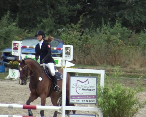 Reitturnier Datteln 2019