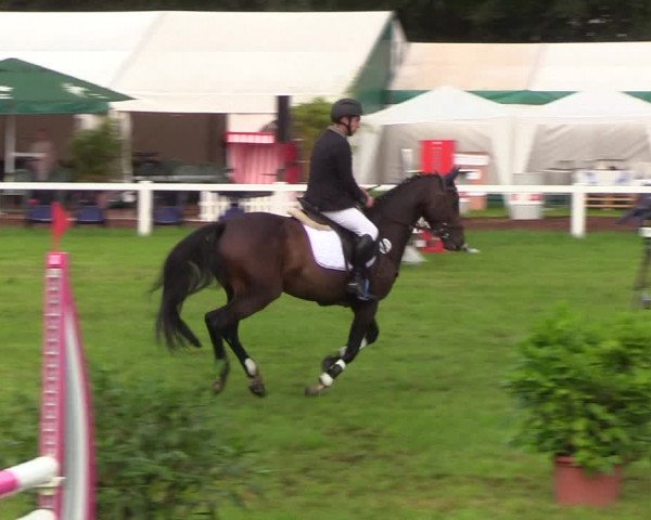 Reitturnier Langstedt-Bollingstedt 2019