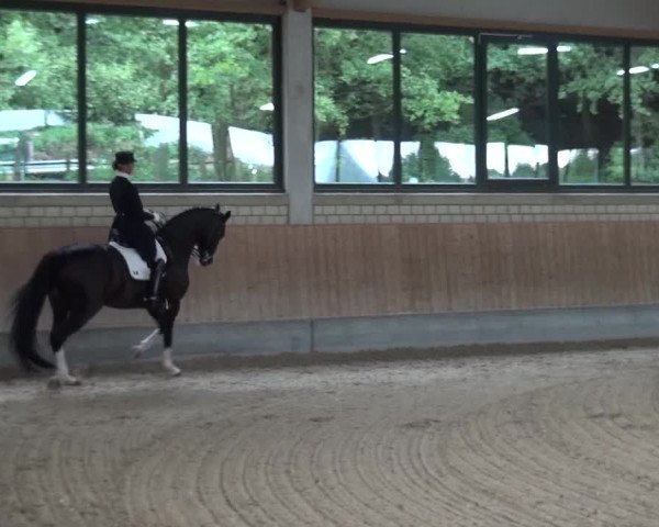 Reitturnier Bergisch Classics - Hebborner Hof 2019