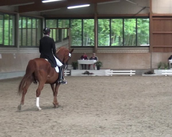Reitturnier Bergisch Classics - Hebborner Hof 2019