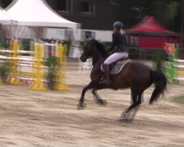Reitturnier Datteln 2019