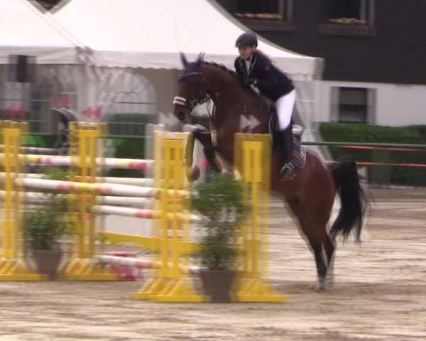 Reitturnier Datteln 2019