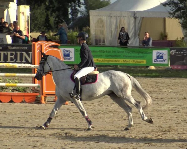 Reitturnier Datteln 2019