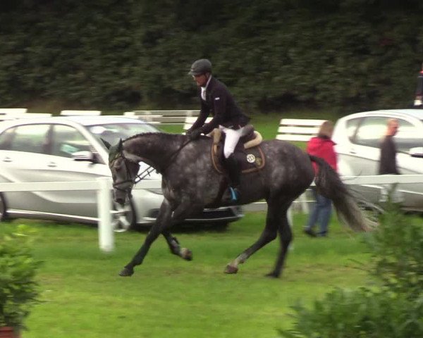 Reitturnier Langstedt-Bollingstedt 2019