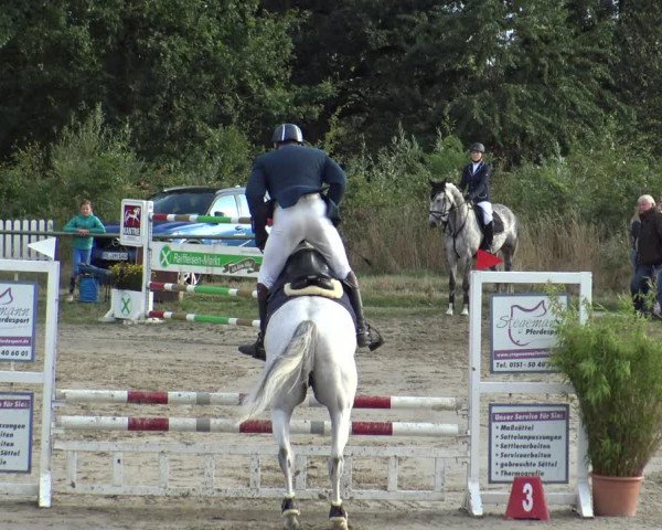 Reitturnier Datteln 2019