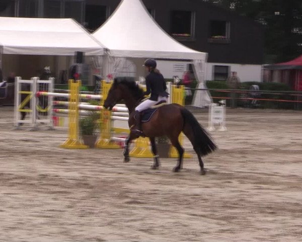 Reitturnier Datteln 2019