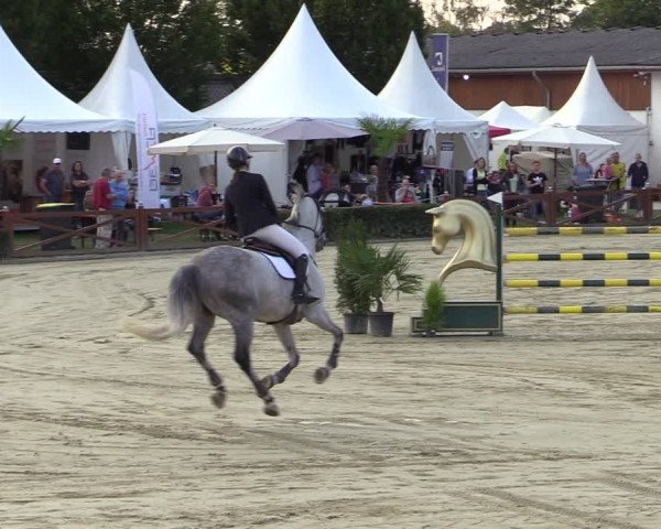 Equus Colonius - Reitanlage Brüse Köln 2021