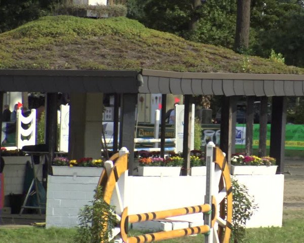 Reitturnier Datteln 2019