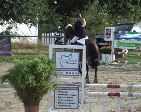 Reitturnier Datteln 2019