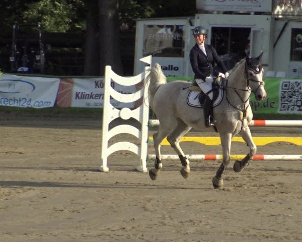 Reitturnier Datteln 2019