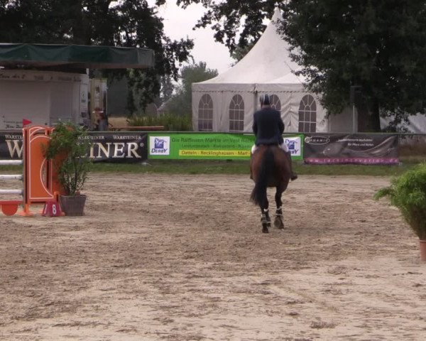 Reitturnier Datteln 2019