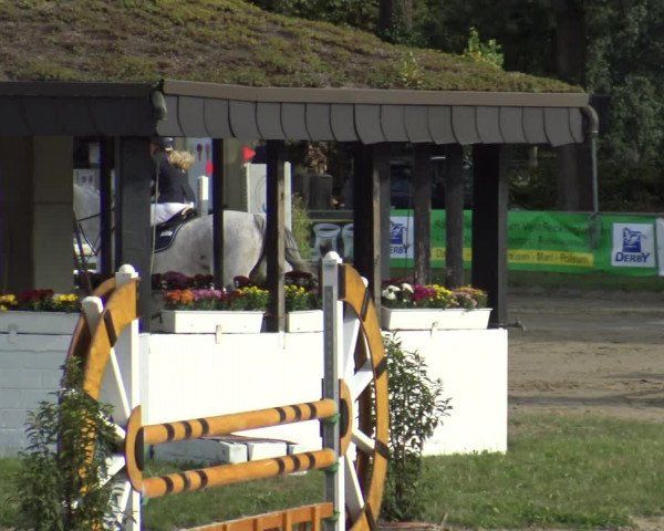 Reitturnier Datteln 2019