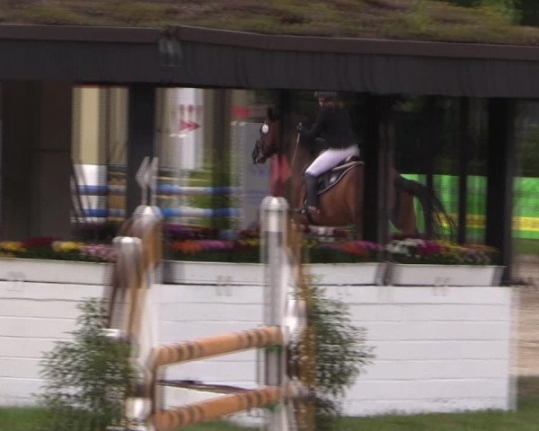 Reitturnier Datteln 2019