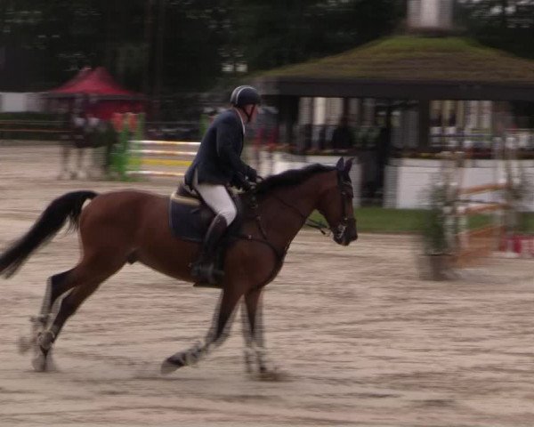 Reitturnier Datteln 2019