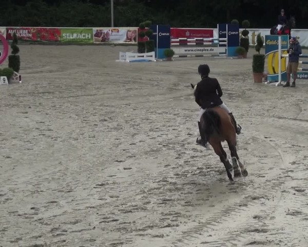 Reitturnier Bergisch Classics - Hebborner Hof 2019
