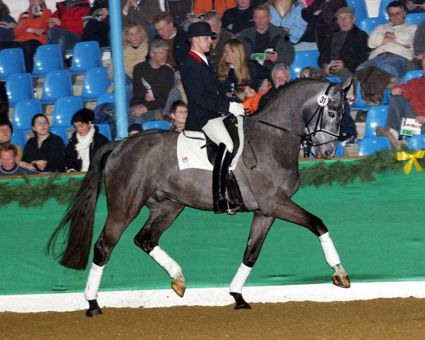 horse Rudolf 18 (Oldenburg, 2000, from Royal Diamond)