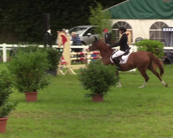 Reitturnier Langstedt-Bollingstedt 2019