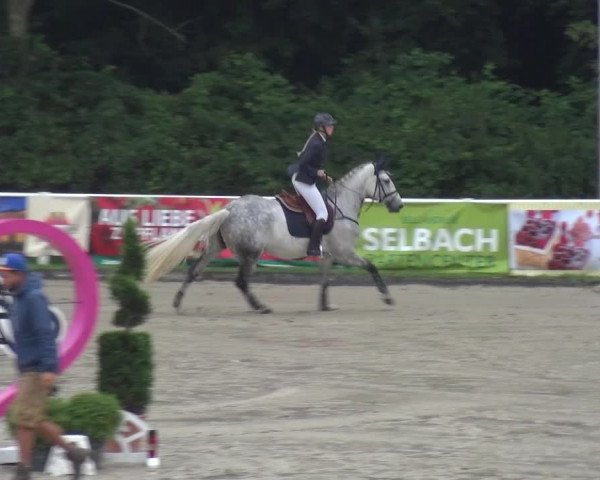 Reitturnier Bergisch Classics - Hebborner Hof 2019