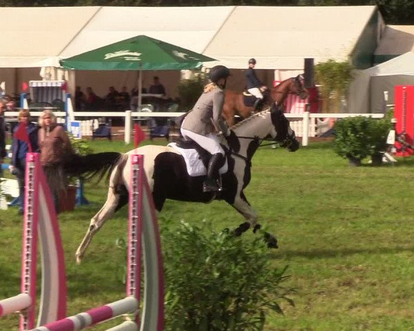 Reitturnier Langstedt-Bollingstedt 2019