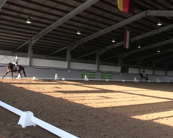Reitturnier Münster-Albachten 2019