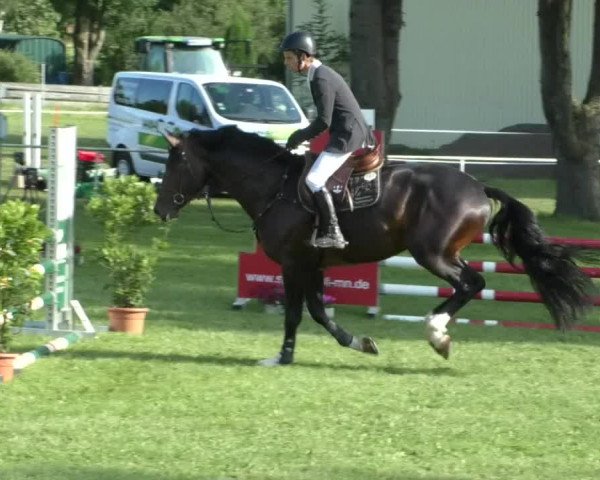 Reitturnier Memmingen/Schw. 2019