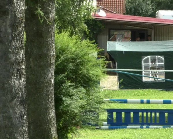 Reitturnier Memmingen/Schw. 2019