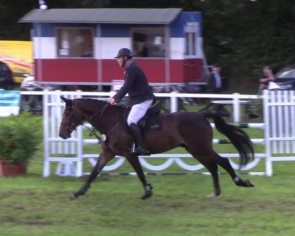 Reitturnier Langstedt-Bollingstedt 2019