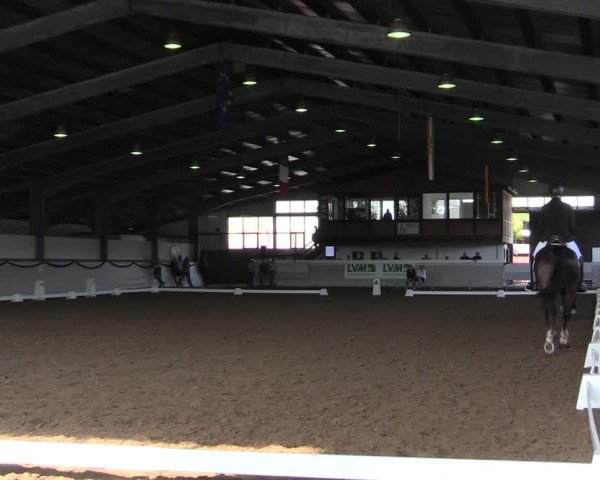 Reitturnier Münster-Albachten 2019