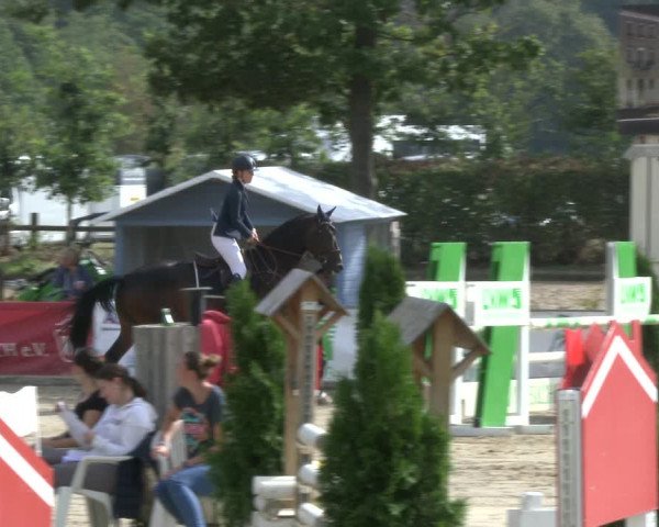 Reitturnier Münster-Albachten 2019