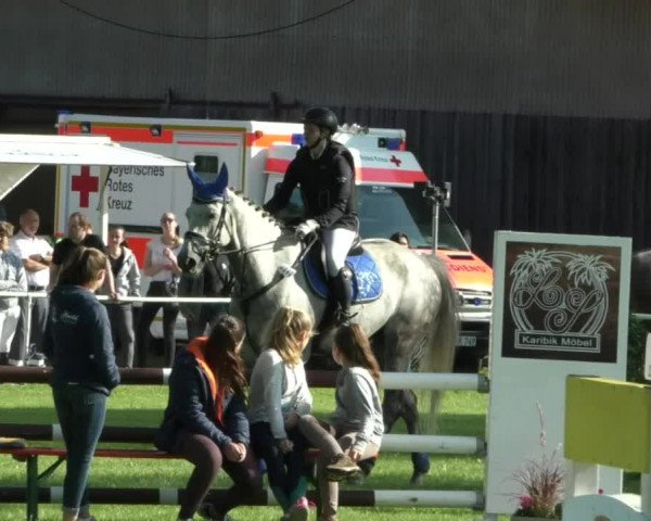 Reitturnier Memmingen/Schw. 2019