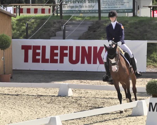 Reitturnier Durmersheim-Hardt 2019