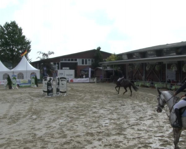 Reitturnier Münster-Albachten 2019