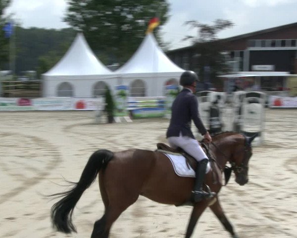 Reitturnier Münster-Albachten 2019