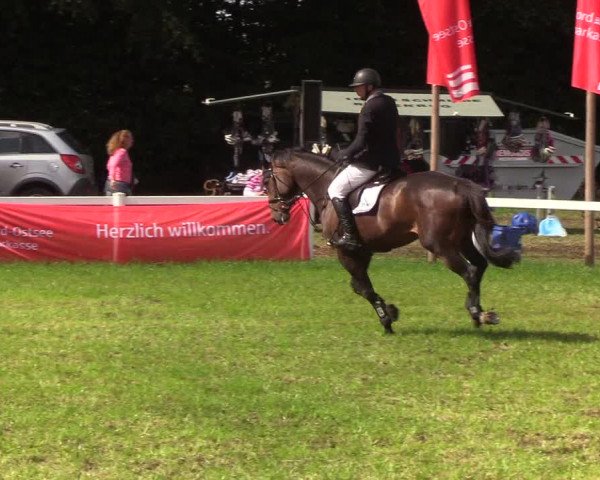 Reitturnier Langstedt-Bollingstedt 2019