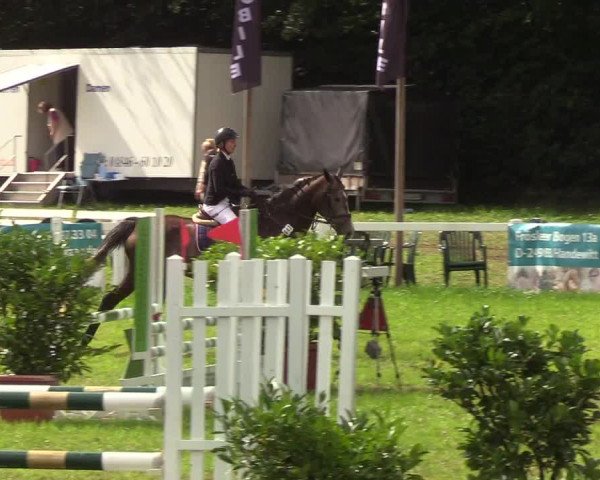 Reitturnier Langstedt-Bollingstedt 2019