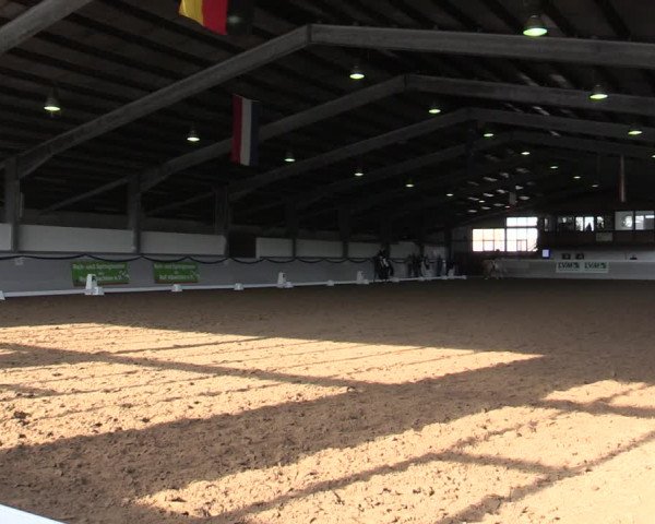 Reitturnier Münster-Albachten 2019