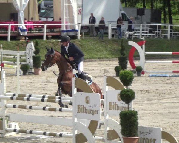 Reitturnier Bergisch Classics - Hebborner Hof 2019