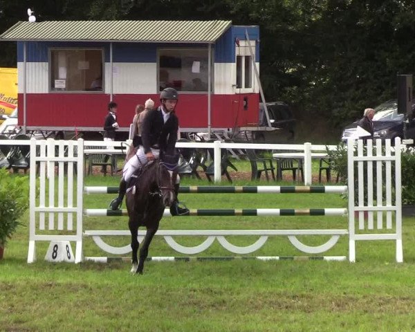 Reitturnier Langstedt-Bollingstedt 2019