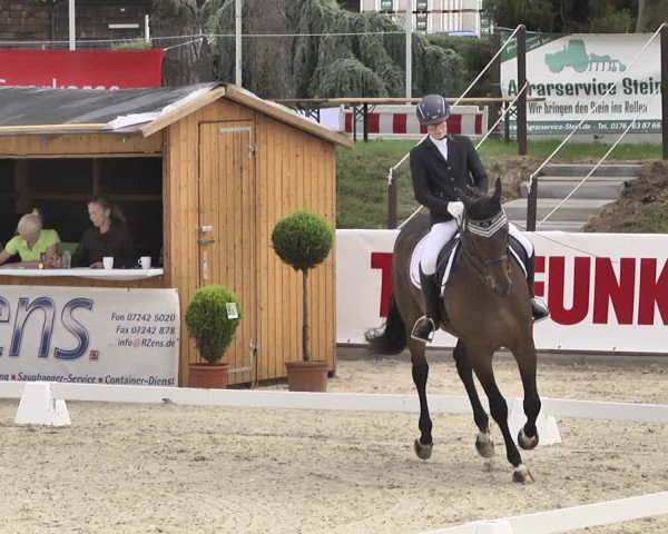 Reitturnier Durmersheim-Hardt 2019