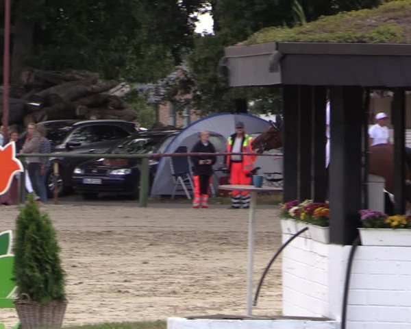 Reitturnier Datteln 2019