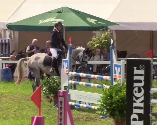 Reitturnier Langstedt-Bollingstedt 2019