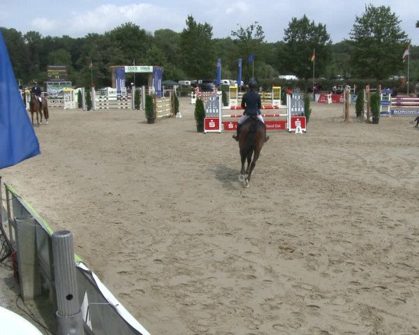 Reitturnier Münster-Albachten 2019