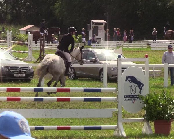Reitturnier Langstedt-Bollingstedt 2019