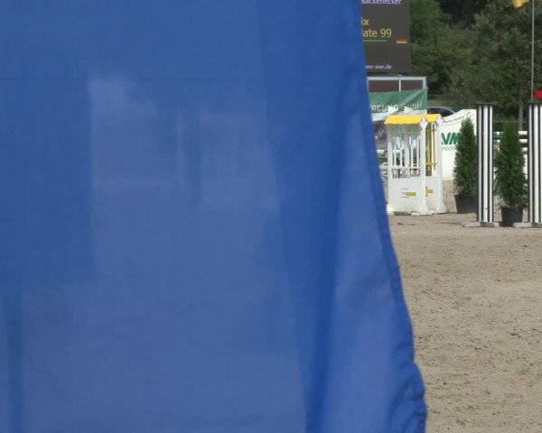 Reitturnier Münster-Albachten 2019
