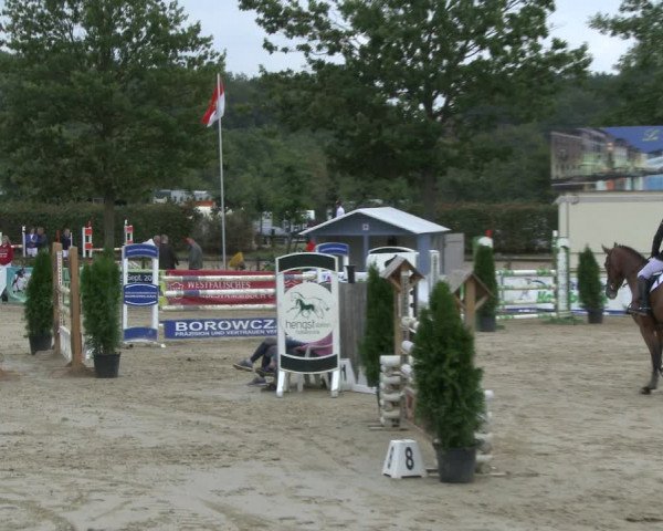 Reitturnier Münster-Albachten 2019