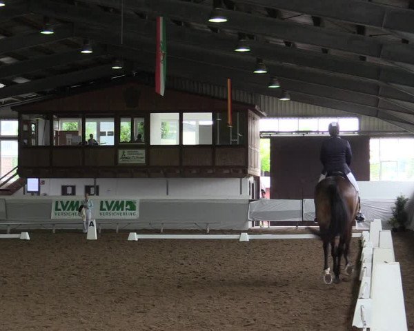 Reitturnier Münster-Albachten 2019