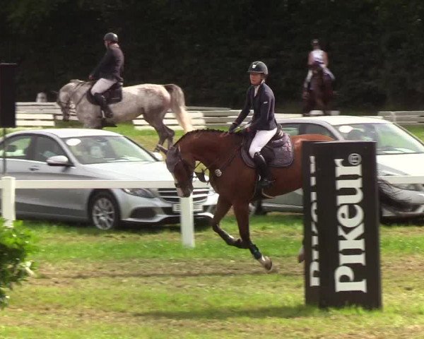 Reitturnier Langstedt-Bollingstedt 2019
