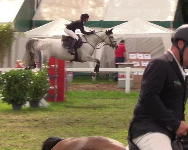 Reitturnier Langstedt-Bollingstedt 2019