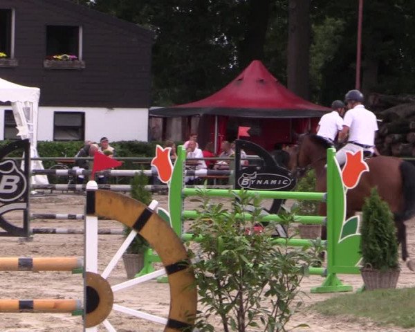 Reitturnier Datteln 2019