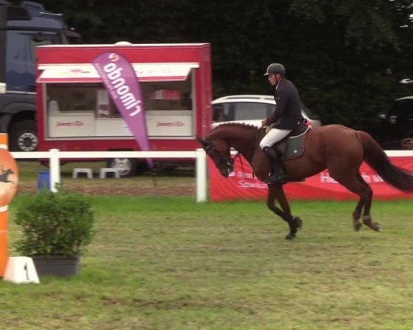 Reitturnier Langstedt-Bollingstedt 2019